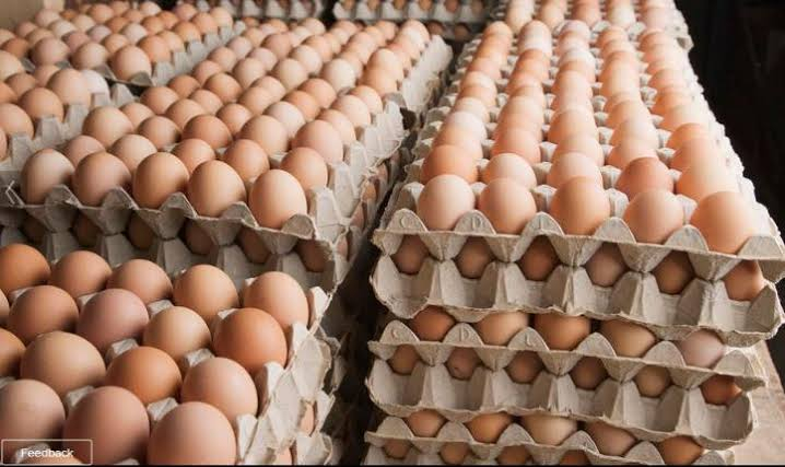 Welcome to Boni Farm Products